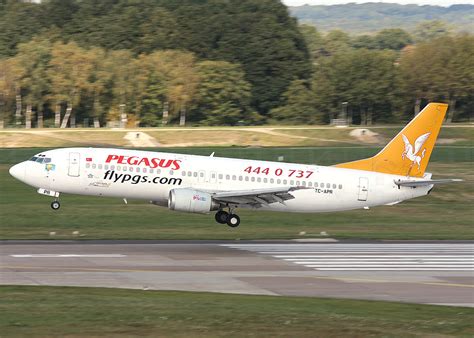 who are pegasus airlines